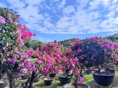 -三亚蜈支洲岛旅游区
