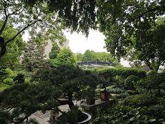-上海醉白池公园