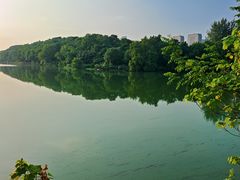 -月湖风景区