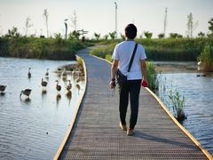 -盐城丹顶鹤湿地生态旅游区