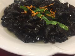 -金满楼(天河中路店)