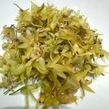 家附近的美食秘境！颂福楼，商务宴请新宠儿👑