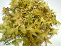 -颂福楼·南京菜(定淮门店)
