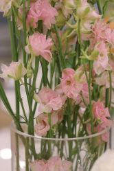 -酉嘉瑜伽YO+YOGA