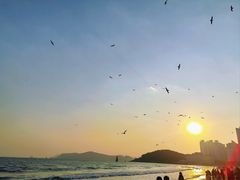 -海云台海滩