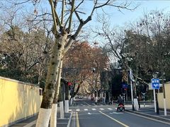 -颐和路民国时期公馆风貌区