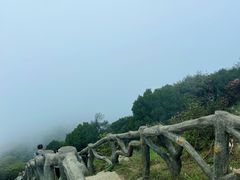 -梧桐山风景名胜区