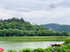 -美的鹭湖探索王国