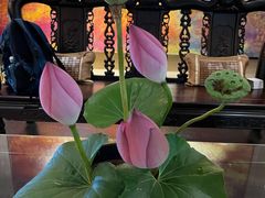 -绍兴鉴湖君澜大酒店