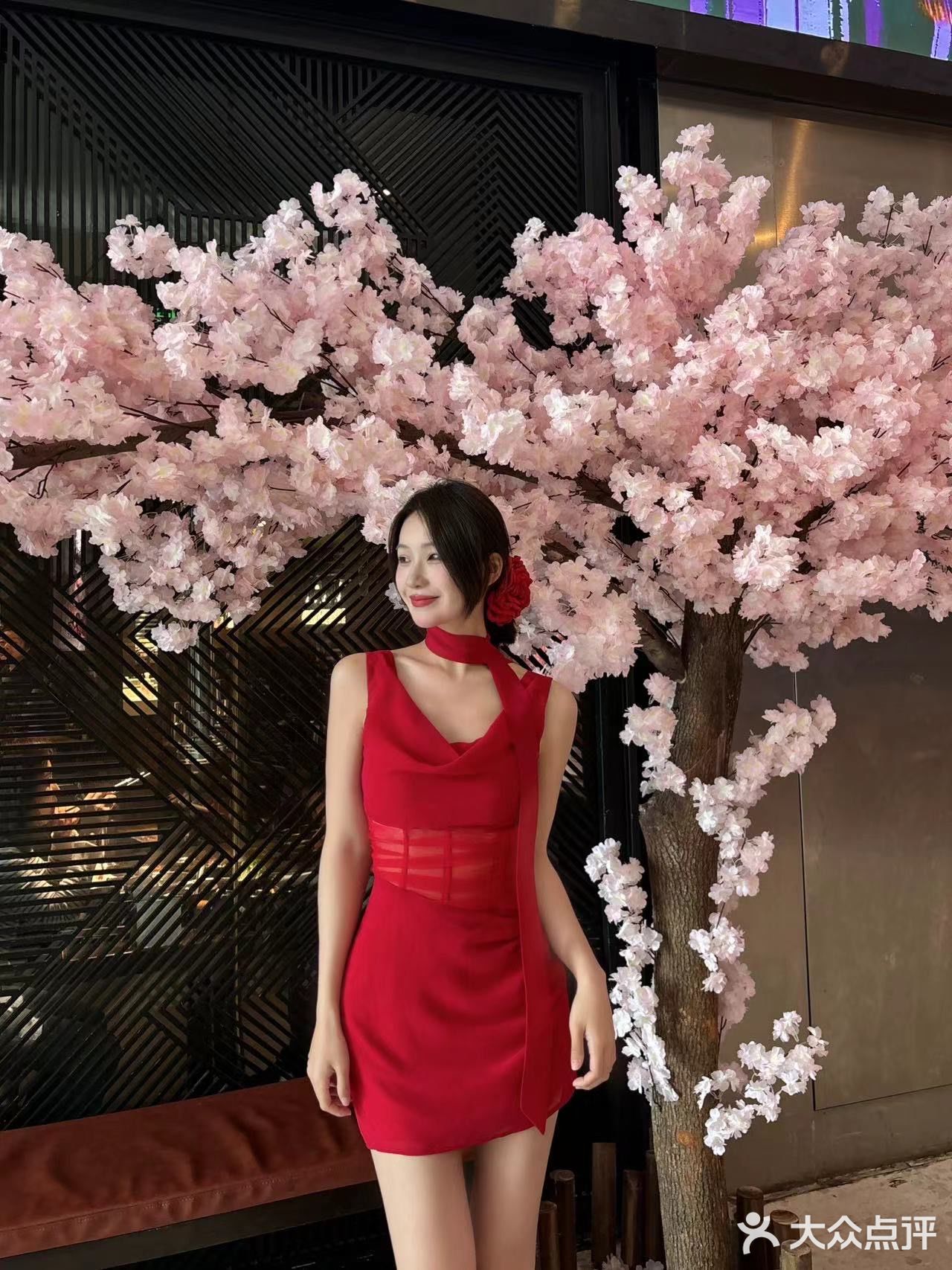 来到地球的第一万天🌍