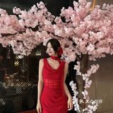 来到地球的第一万天🌍