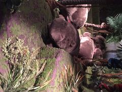 iphone_upload_pic-济州岛泰迪熊博物馆