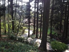 景点-庐山风景区花径公园