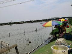 -梁鸿国家湿地公园