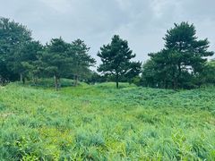 -北京京辉高尔夫俱乐部有限公司