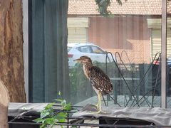 -河南省黄河迎宾馆