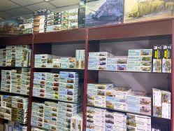 -新时模型(新街口店)