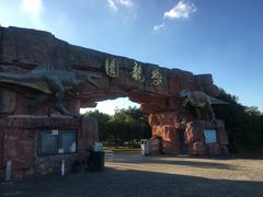 -上海海湾国家森林公园