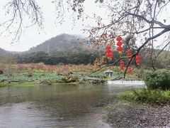-广州市石门国家森林公园
