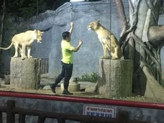 -清迈夜间动物园