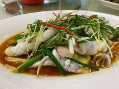 白灼鲜鱿-横琴湖畔美食