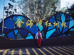 -北海金海湾红树林生态旅游区