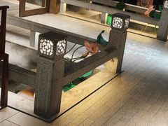 -新渝城·始于2000年(淘金店)