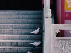 -湛山寺