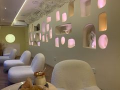 -伊斯坦布尔土耳其清真咖啡餐厅