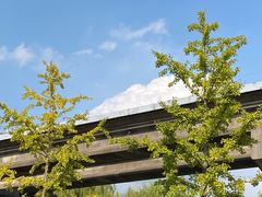 -龙阳路磁悬浮列车总站-停车场