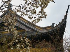 -常熟方塔园