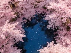 -龙湖杭州滨江天街