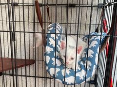 -七叔是岛民(花基新村店)