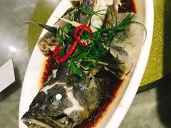 石斑鱼-四川小胡子海鲜(丁村万人海鲜广场店)
