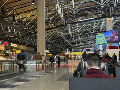 -谢列梅捷沃国际机场