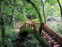 -青城山