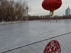 -莲花池公园