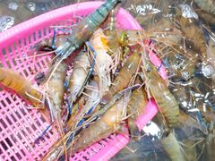 -珠光市场(文德南路)