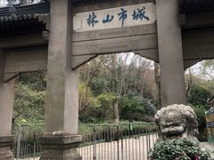 -镇江市南山风景名胜区竹林景区