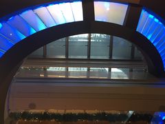 -香港港岛英迪格酒店