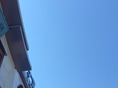 -沪上阿姨鲜果茶(世纪金源店)