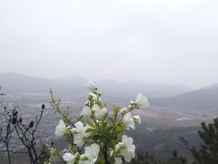 -兴福老面馆(寺路街店)