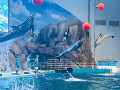 -福州罗源湾海洋世界旅游区