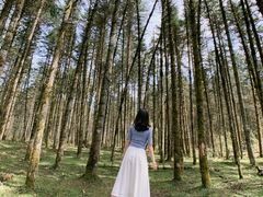 -石棉县孟获城