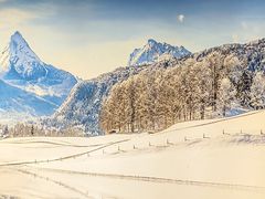 -山河屯铁锅炖(绥望路店)