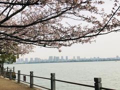 -无锡蠡湖国家湿地公园-蠡园