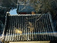 -北京鹫峰国家森林公园