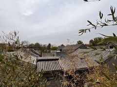 -泰山风景名胜区-普照寺