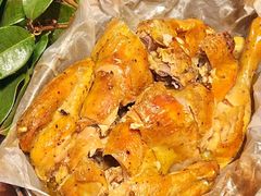 -桂满陇·海市蜃楼·黑金(国金店)