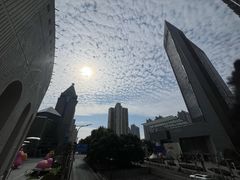 -华为授权服务中心(浦东1088广场)
